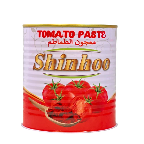 830g Tomatenpuree In Blik